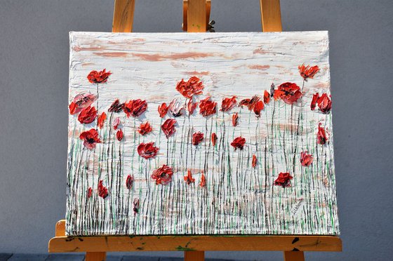 Wild Poppies 2