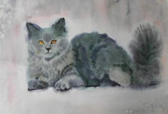 gray cat, original watercolor 50x70 cm