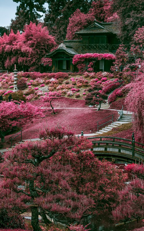 ZEN GARDEN I by Harv Greenberg