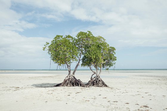 Empty Palawan Beach