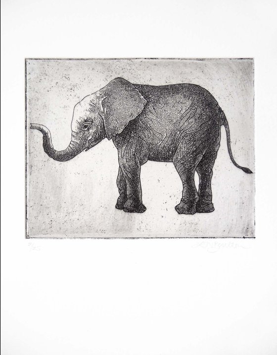 Elephant