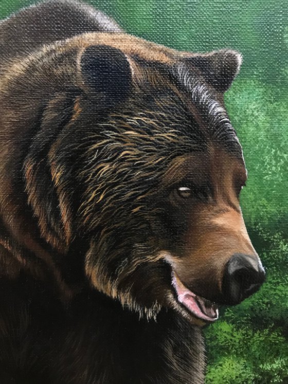 Cute little bears