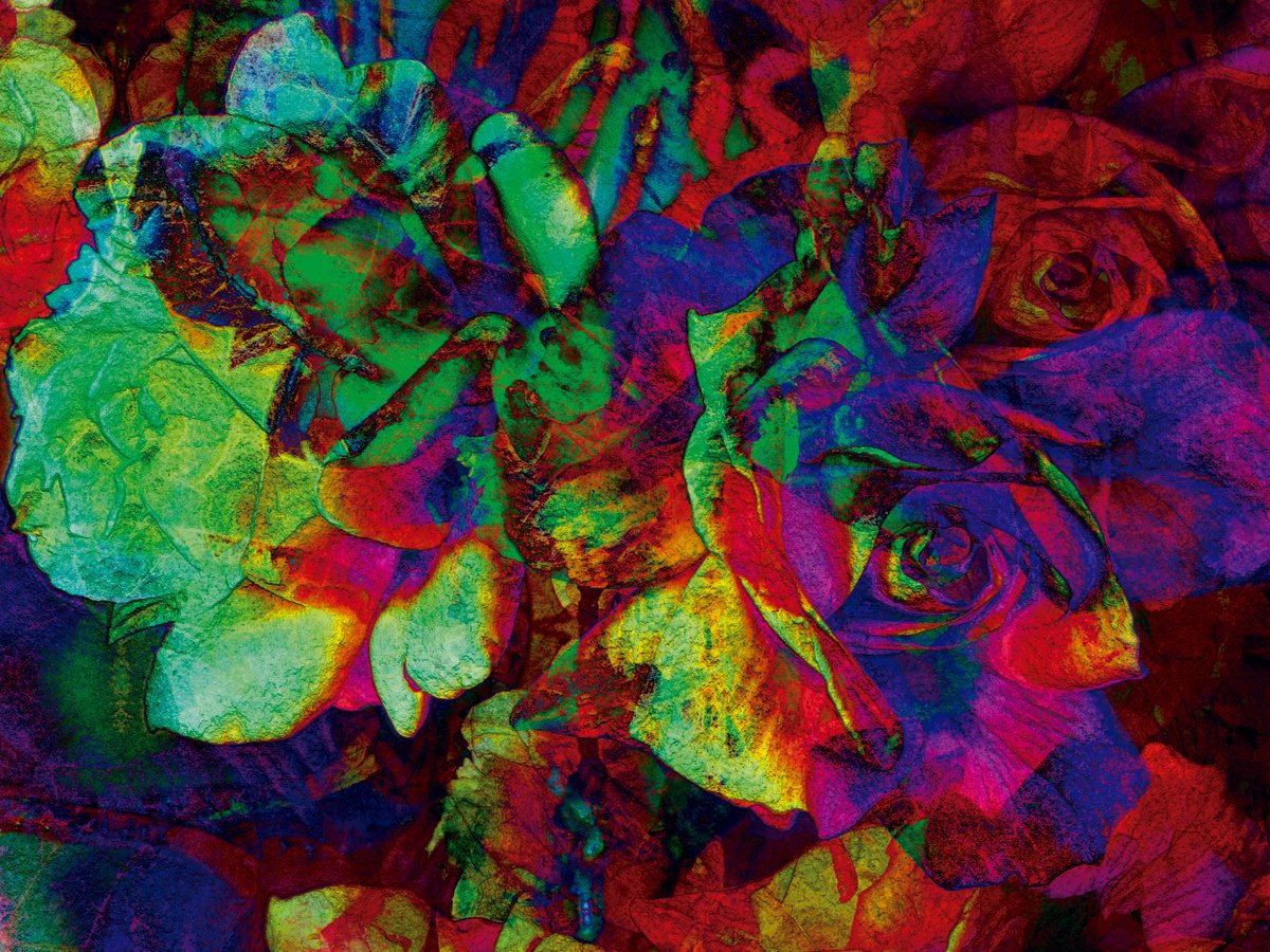 Abstract Botanical Print By Javier Diaz, 79 X 60, Petalos, Original Artwork