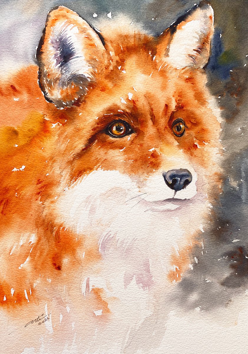 Impressionistic Animal Watercolour By Arti Chauhan, 13 X 17, Red Fox Stella, Original Artwork