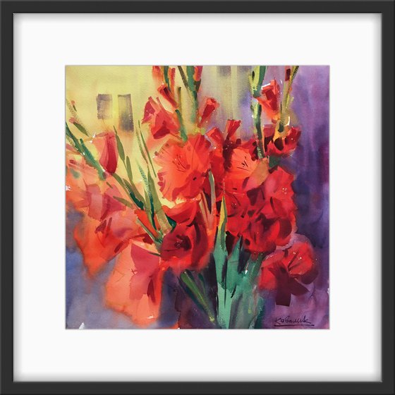 Red gladioli