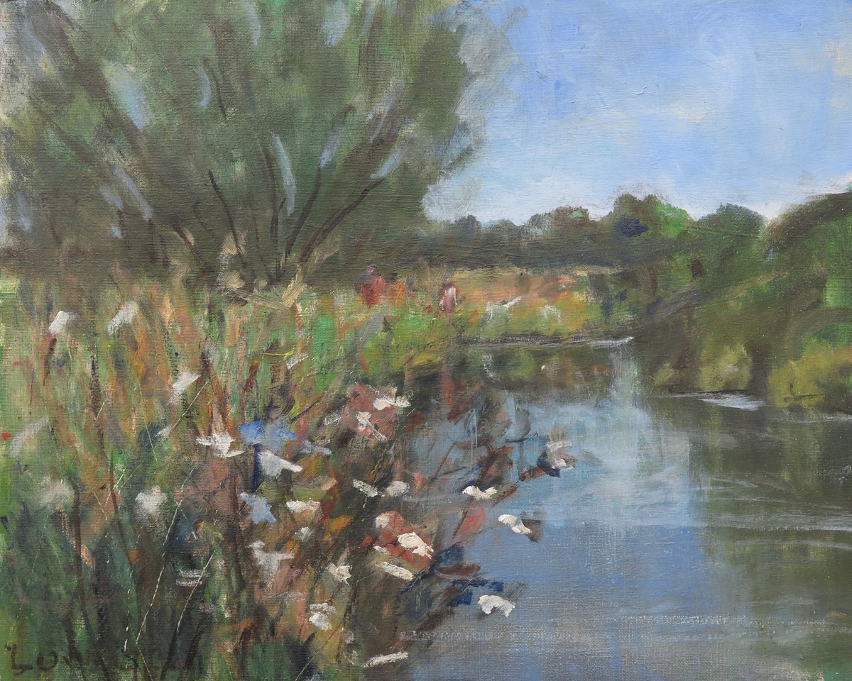 River Derwent, June 9 by Malcolm Ludvigsen