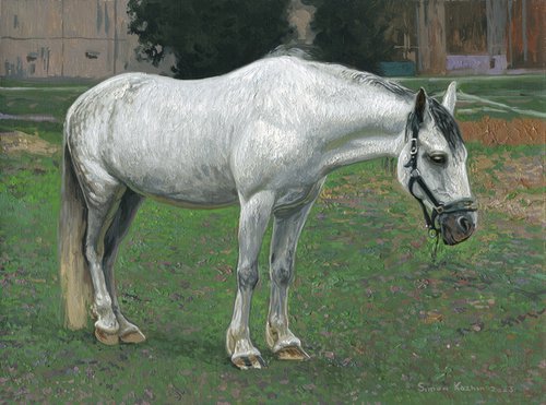 White horse by Simon Kozhin