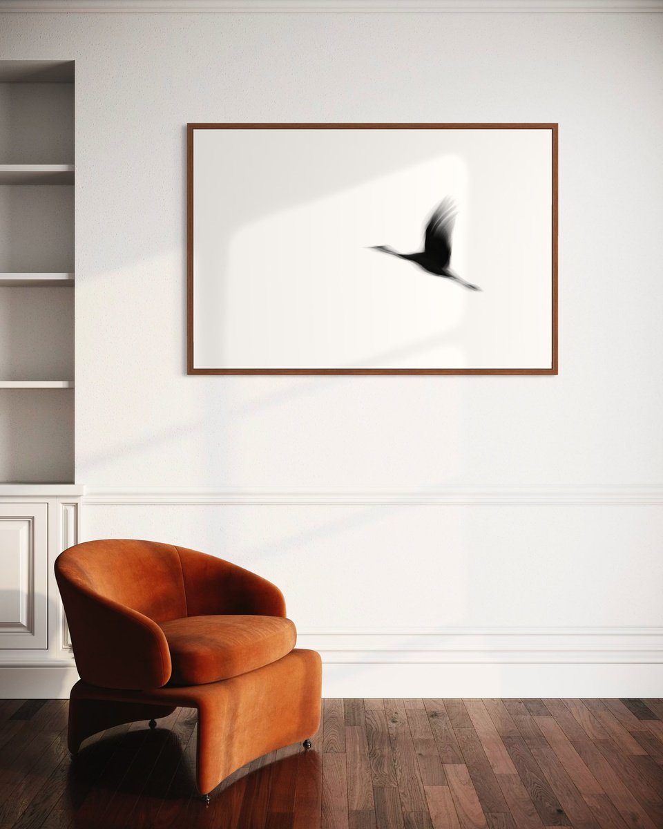 Photorealistic Photograph , Crane(S) I By Tal Paz-Fridman, 62 X 42, Artwork For Sale On Artfinder
