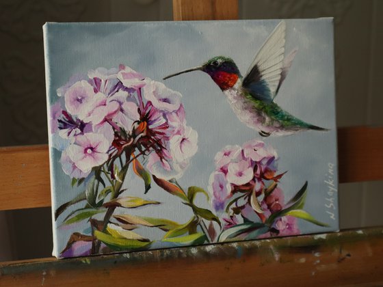 Hummingbird Flower, Animals