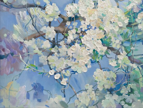 White Miracle of Spring