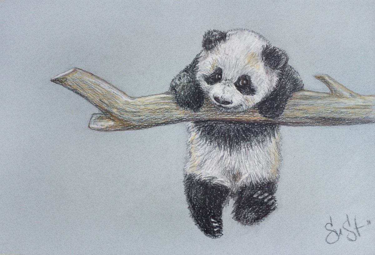 How To Draw A Cute Little Panda Drawings Art Drawings - vrogue.co