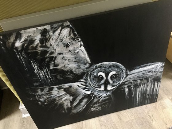 Large Dark Grey Owl