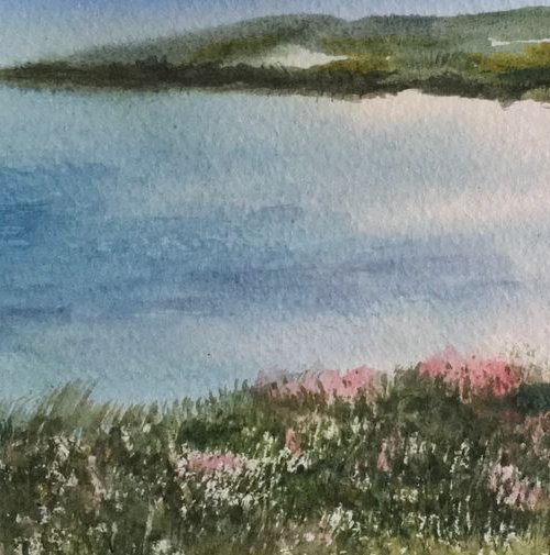 The Summer Isles by Samantha Adams