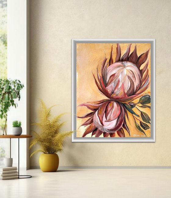 Proteas in Warm Light