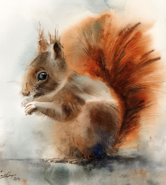 Squirrel