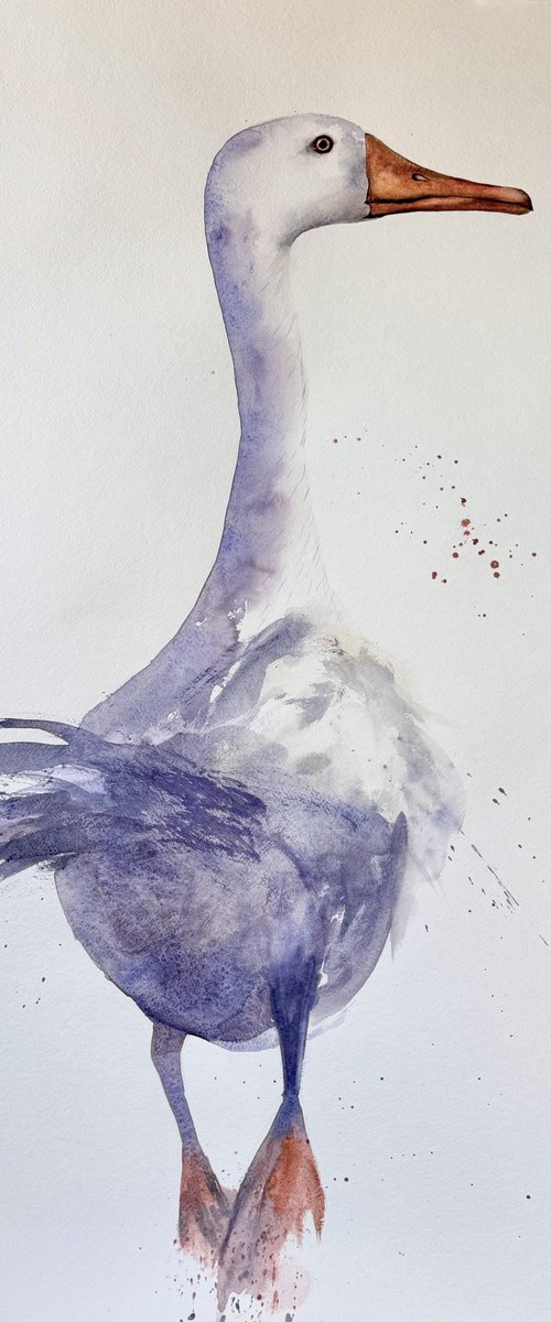 White long neck Curious duck by Yuliia Sharapova