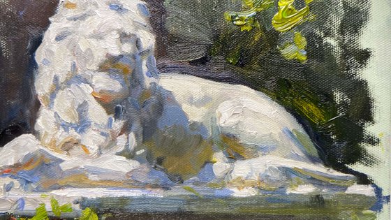 Lion in Spring Light
