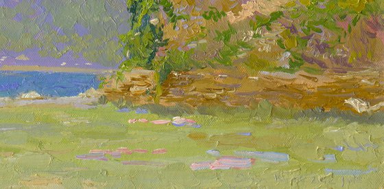 Lycian land