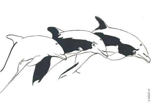 Dolphins I Animal Drawing by Ricardo Machado