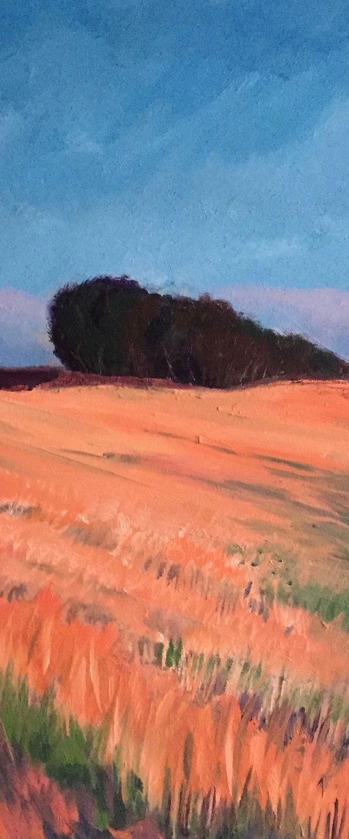 'Isolated trees in Summer, Fife' by Stephen Howard Harrison