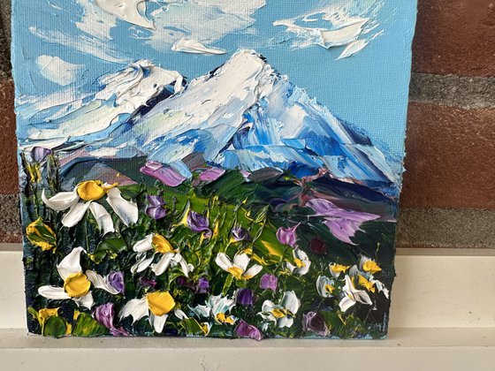 Daisies in the mountains
