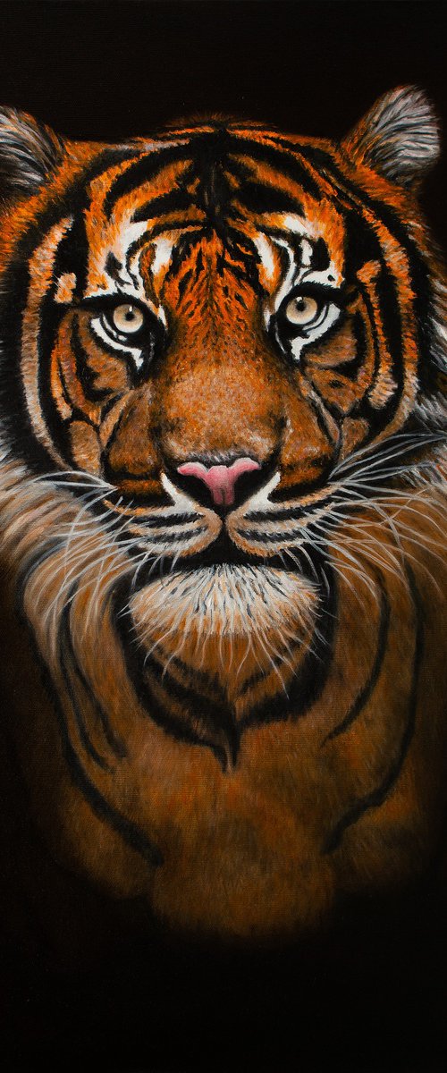 TIGER PORTRAIT by Vera Melnyk