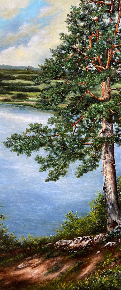 The pine on the shore by Oleg Baulin