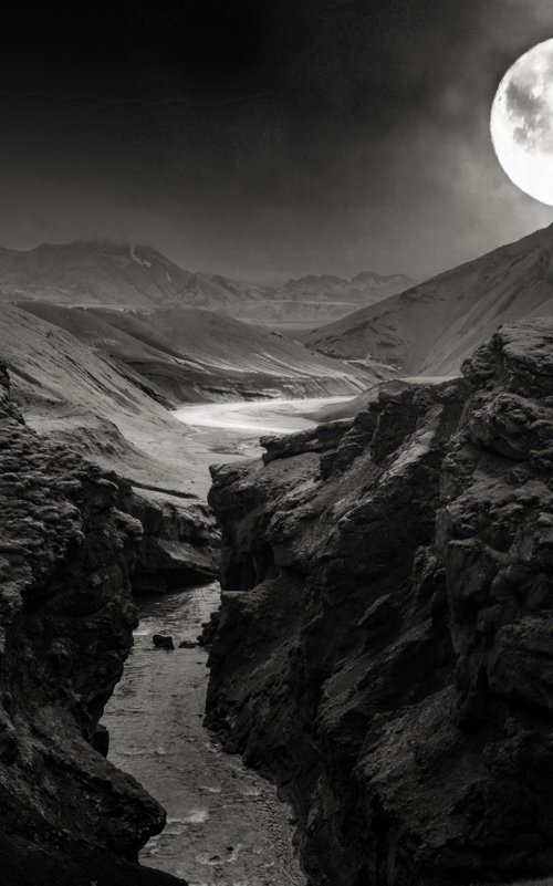 GUIDING LIGHT by Harv Greenberg