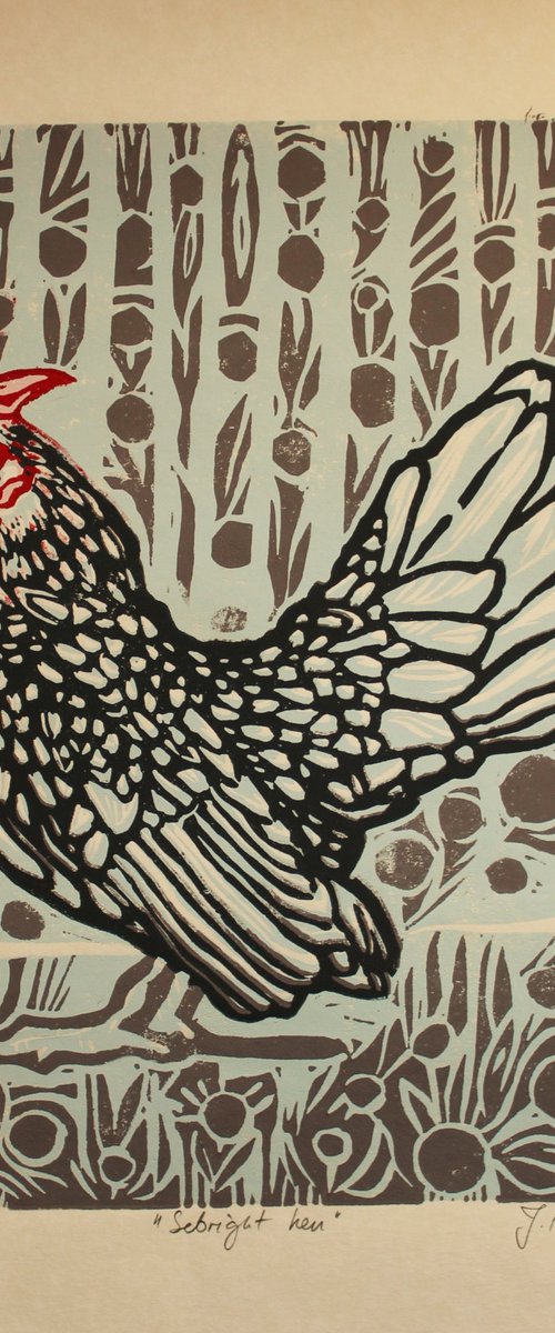 Sebright hen by Joanna Plenzler
