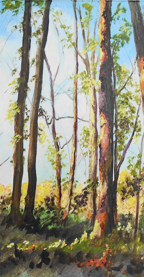 Sunlit Copse by Rod Bere