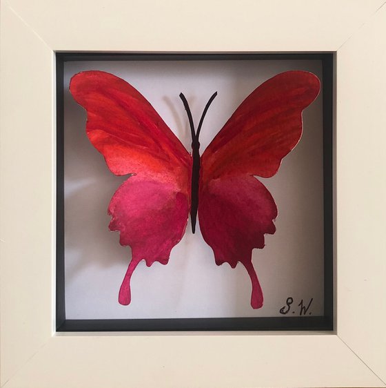 Single Butterfly Box - Red