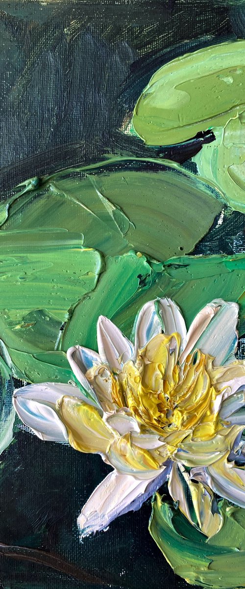 Water Lily — Palette Knife Oil Study by Mily Art