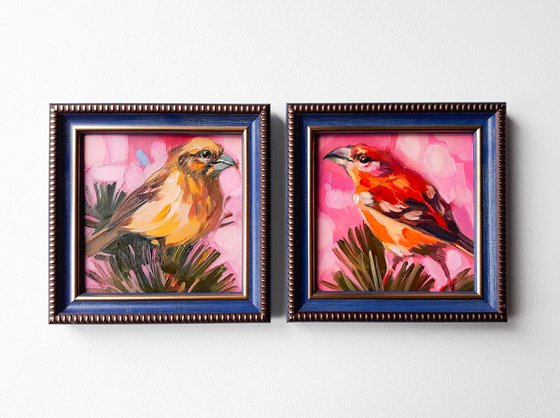 Love couple of crosbill birds original painting in frame