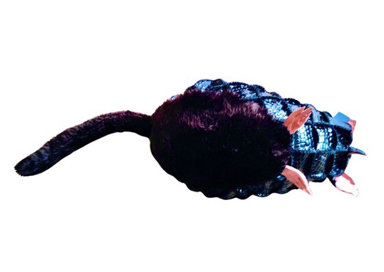 LEMUR KIWI