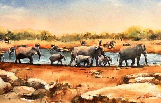Elephants