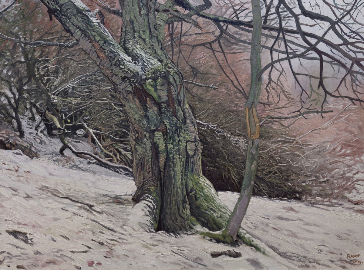 Wild Trees II - Bystrzyckie Mountains II by Wojciech Pater