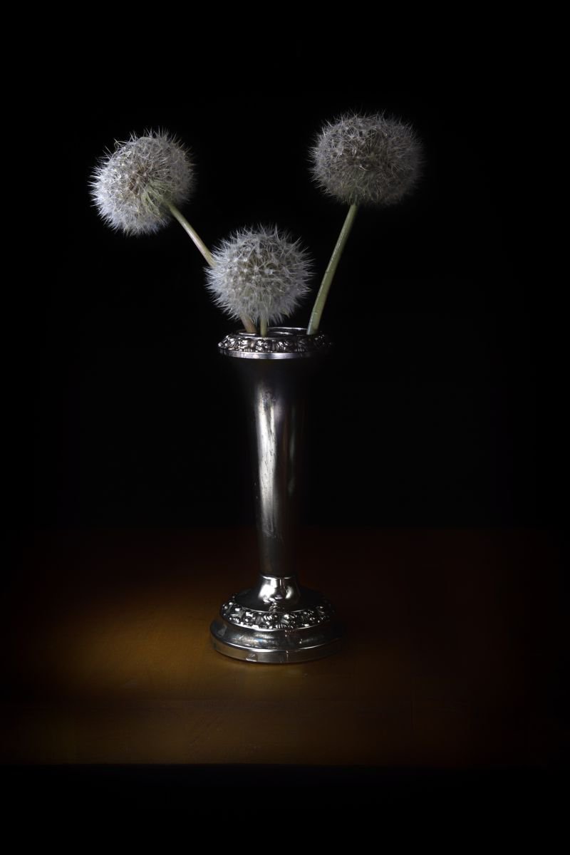 Photorealistic Photograph , Wet Dandelions By Paul Nash, 16 X 24, Artwork For Sale On Artfinder