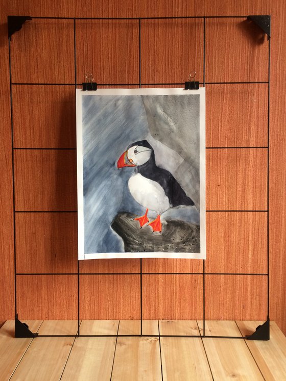 Bird portrait of a puffin  - Gift idea for bird lover