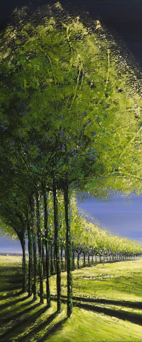 The Lines of Spring- Fields and Colors Series by Danijela Dan