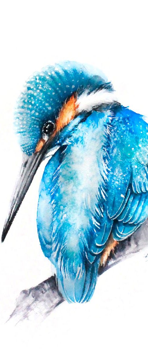 Kingfisher #02, wildlife, birds and nature watercolour by Karolina Kijak