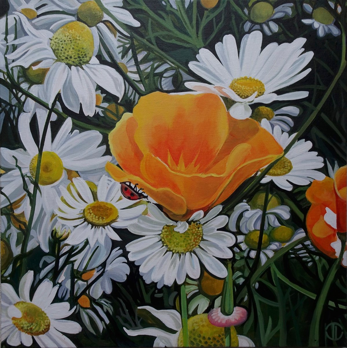 Impressionistic Botanical Acrylic Painting By Joseph Lynch, 20 X 20, White Daisies And Californian Poppies, Original Artwork