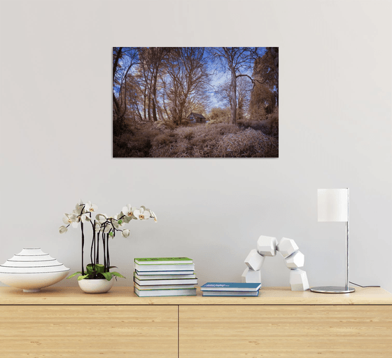 The Hut in the woods