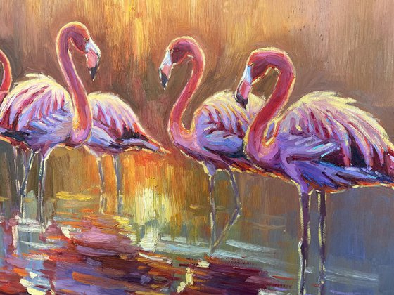 " Pink flamingos "