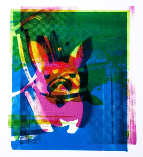 Hendrix (French Bulldog) by AH Image Maker
