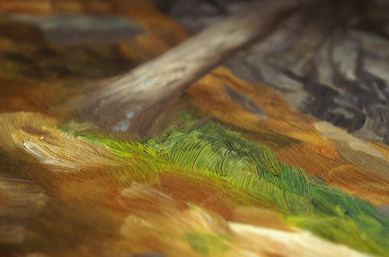 Glacial Boulder