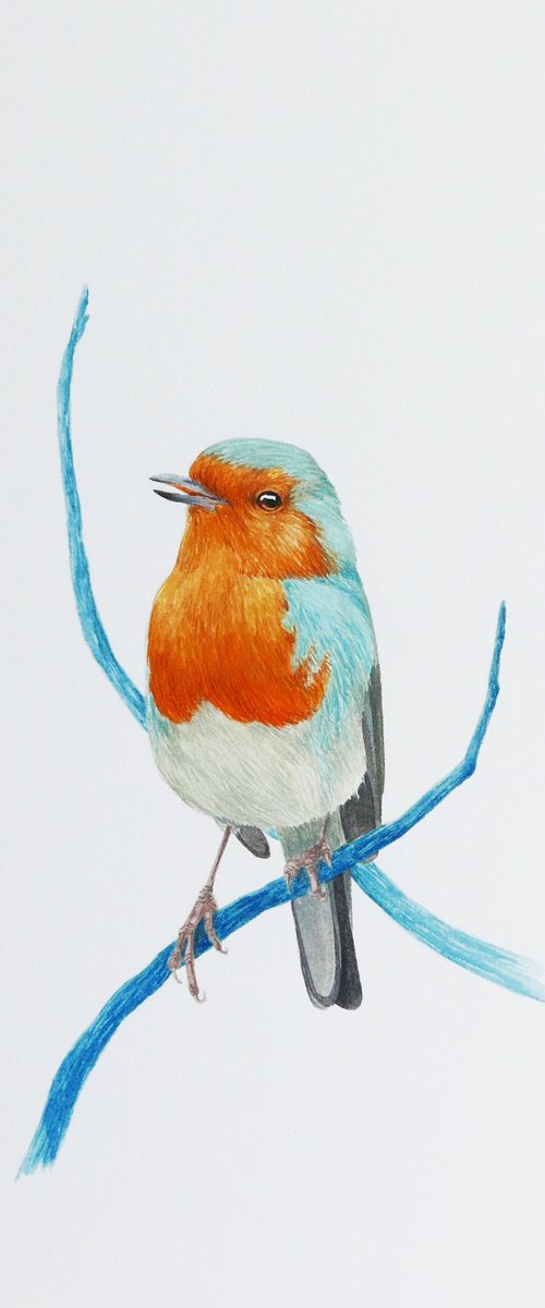 Robin with two branches by Karina Danylchuk