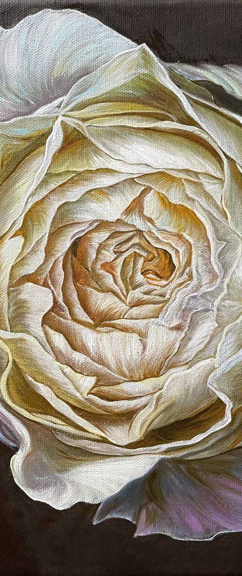 Whispers of Ivory by Elena