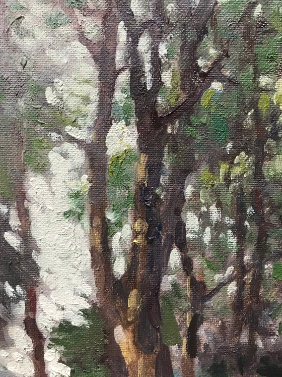 Original Oil Painting Wall Art Signed unframed Hand Made Jixiang Dong Canvas 25cm × 20cm Landscape The Little Passage in South Park Small Impressionism Impasto