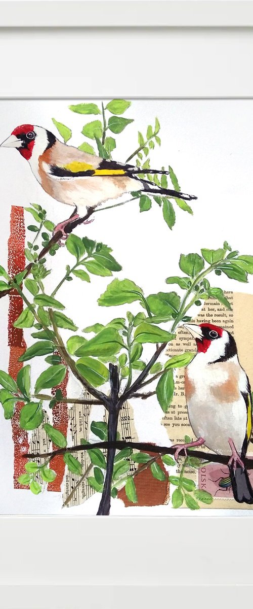 Goldfinches -  Framed ready to hang original artwork by Carolynne Coulson