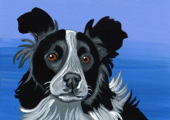 ACEO ATC Original Miniature Painting Border Collie Pet Dog Art-Carla Smale